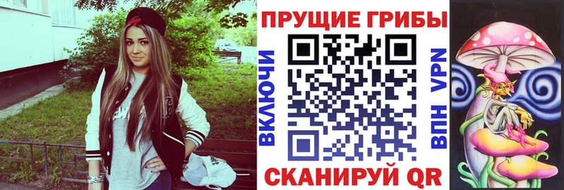 MEGA ССЫЛКА Абинск Псилоцибиновые грибы MAGIC MUSHROOMS