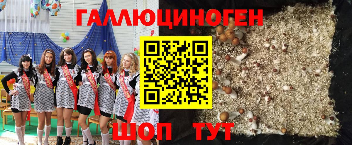 Псилоцибиновые грибы Cubensis Абинск